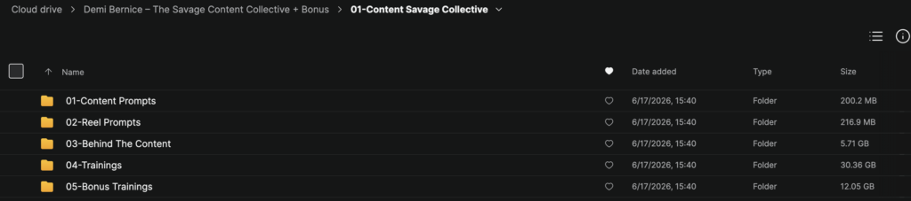 Demi Bernice – The Savage Content Collective + Bonus